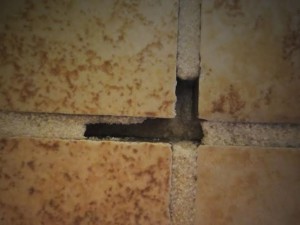 tile-installation